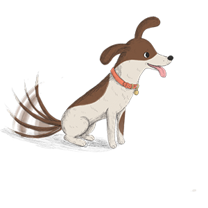 A Shelter Is... A Dog's Journey from Shelter to Home