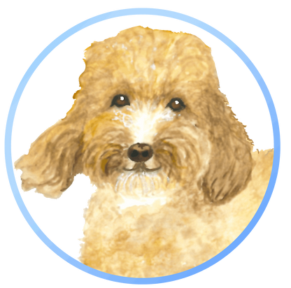 A Dog Can Make a Difference, The Adventures of Jesse the Do-Good Dog