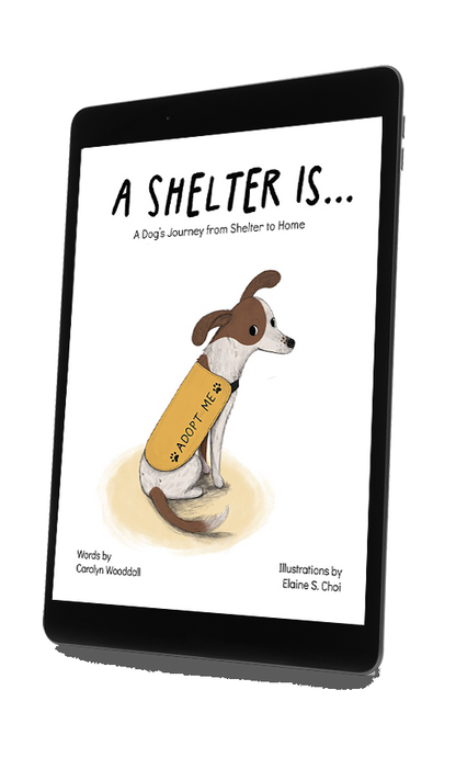 A Shelter Is...  A Dog's Journey from Shelter to Home