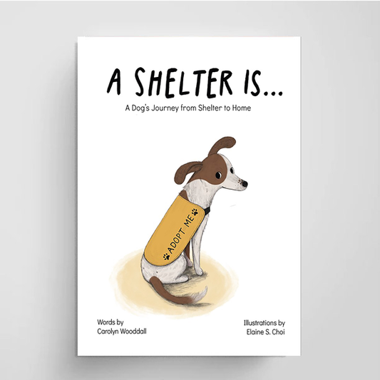 A Shelter Is...  A Dog's Journey from Shelter to Home